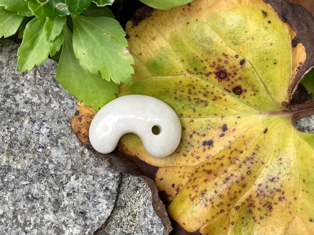 ✳白*混じり無し単色 糸魚川翡翠勾玉 本物ジェダイト 鑑別付 吉祥開運