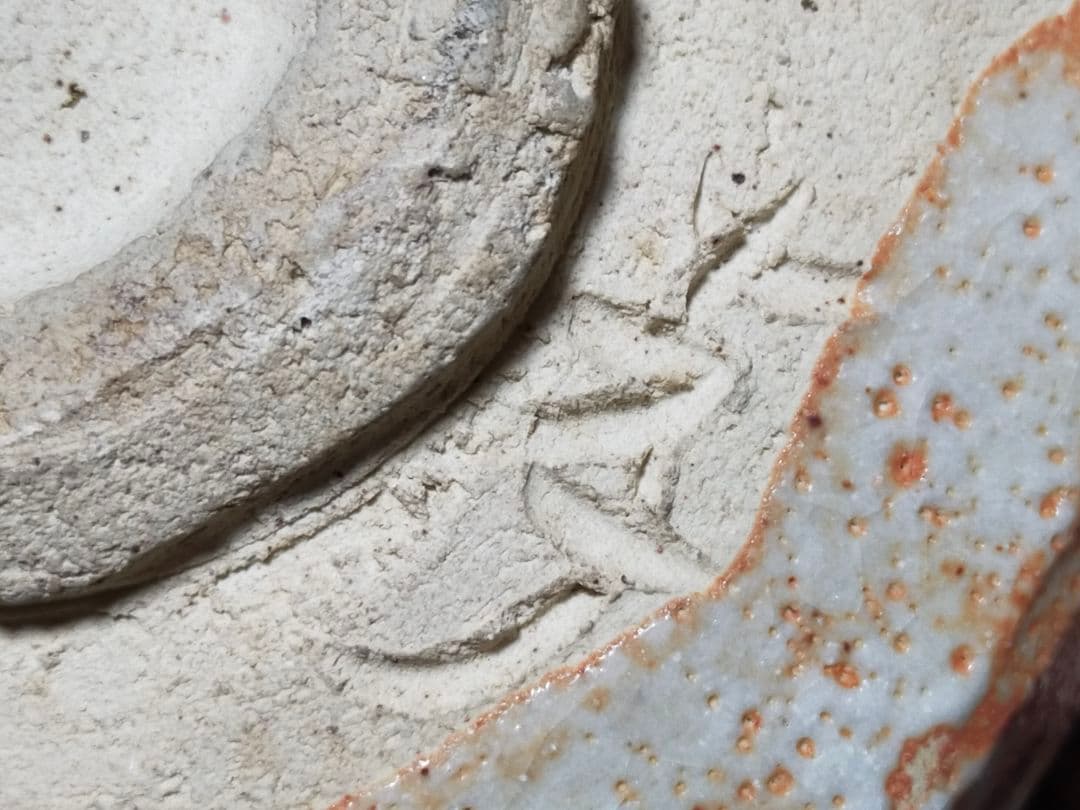 ♥美濃焼　志野　茶碗　在銘　桐箱付き　骨董品　古玩