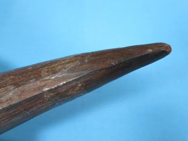 スピノサウルスの歯 86mm 恐竜 No.1155