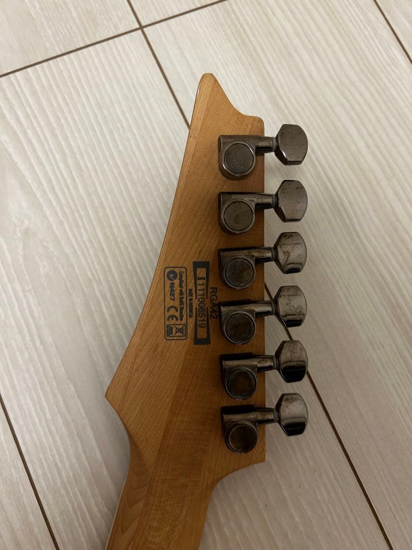 carcass loveIbanez アイバニーズ RG RGA42