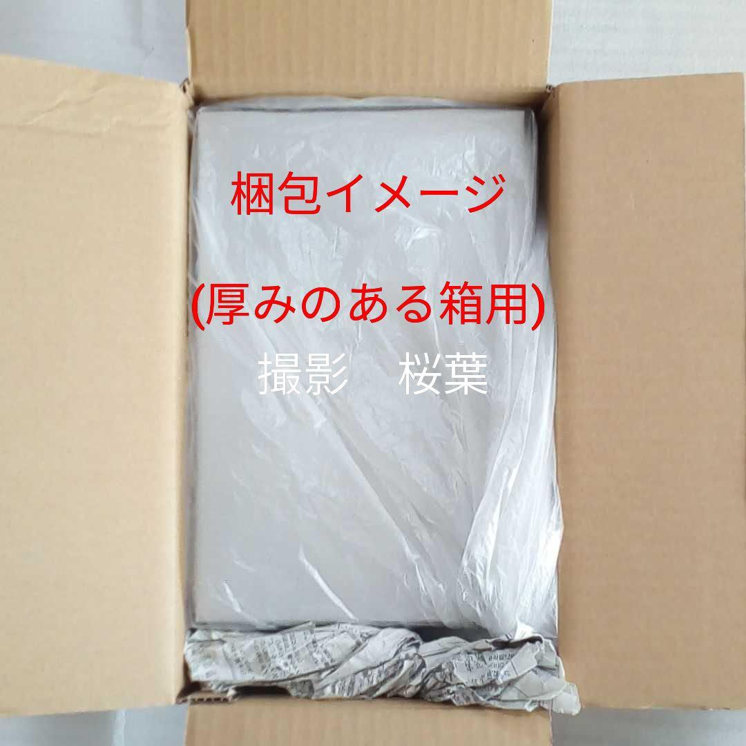 機動戦士ガンダム ガンプラ mg g3ガンダム ver.2.0 内袋未開封