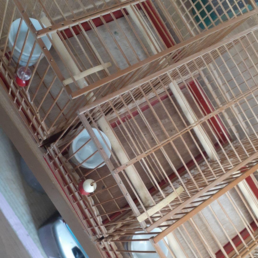 鳥籠4個セット （名札付き）手作籠の通販はau PAY マーケット - 輸入