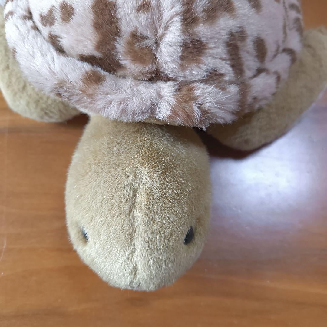 Earth Wind セキグチ　ウミガメ　ぬいぐるみ　アースウィンド　海亀
