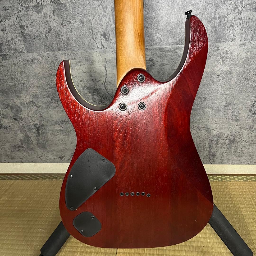 Ibanez RG421HPAM-ABLケース シールド スタンド ピック付き