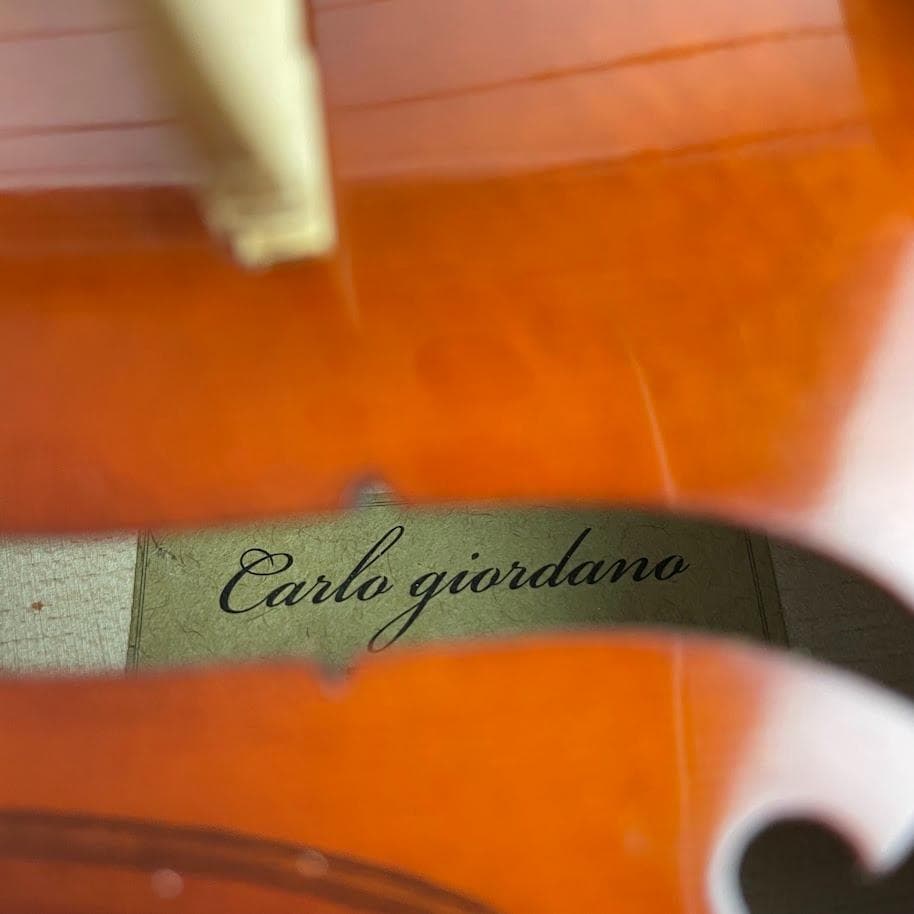 美品●Carlo giordano● VS-1 バイオリン 1/8 2010年製