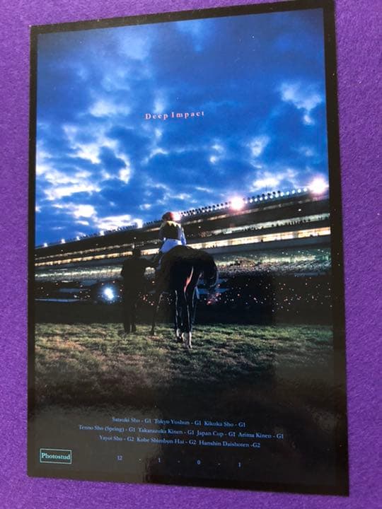 【競馬】かつての名馬たち　額入り