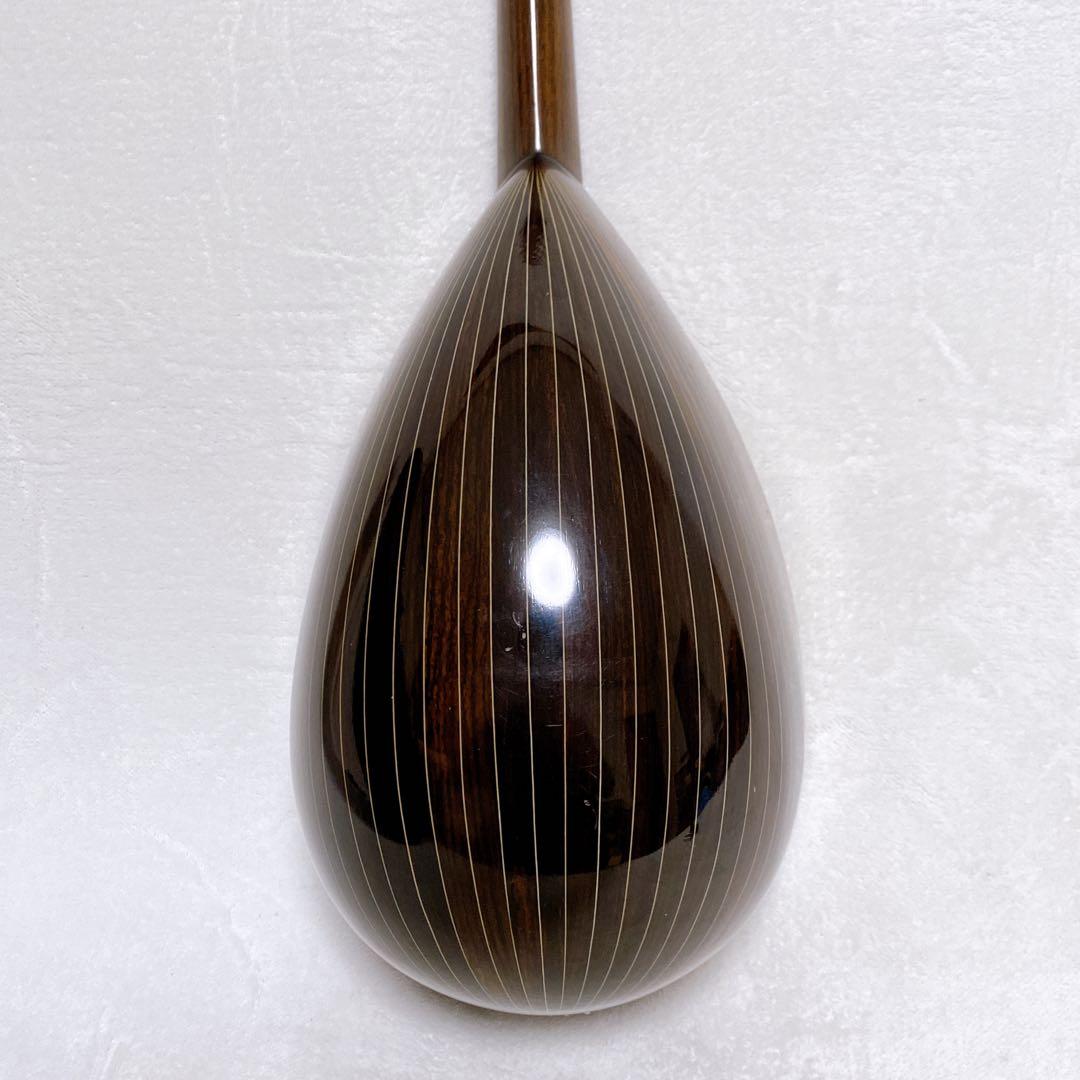 入手困難 マンドリン 藤丸常夫 NO.200 希少 セミハードケース付 おまけ