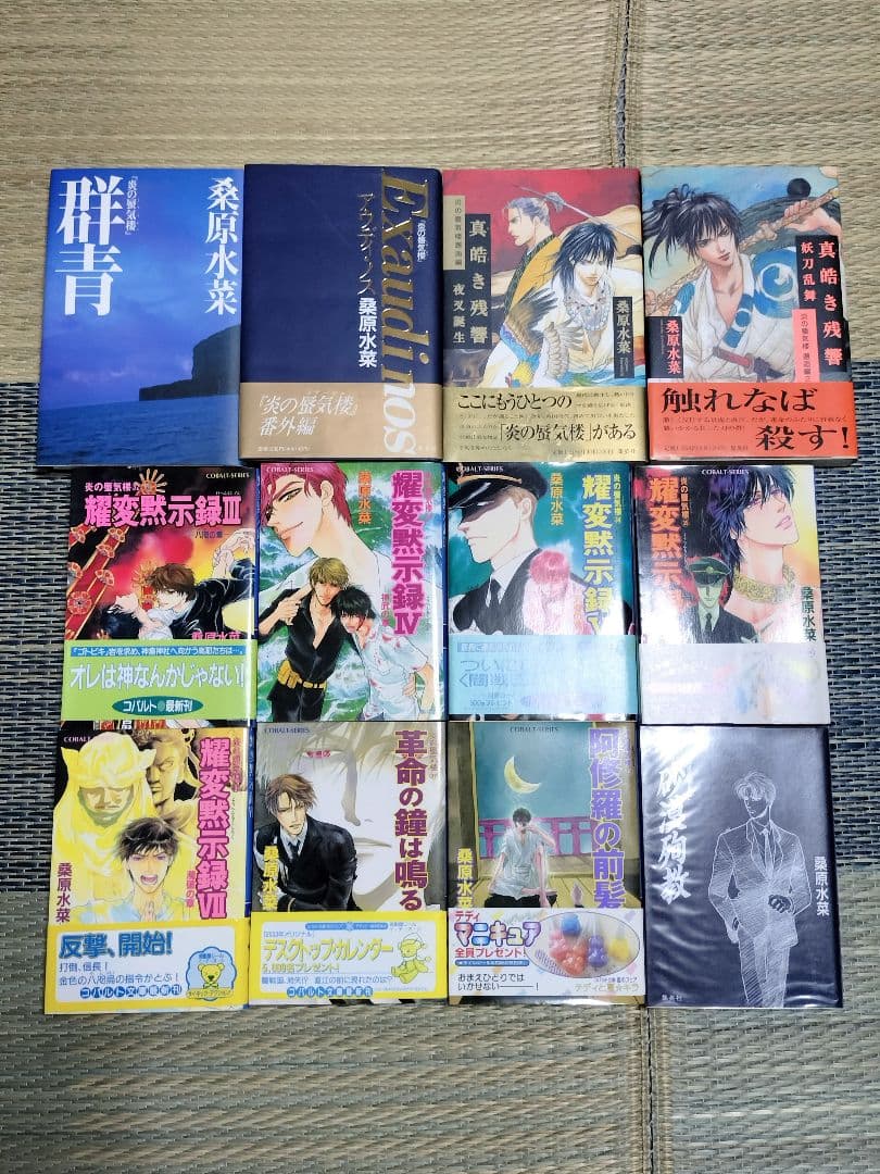 ☆炎の蜃気楼☆1〜38＋アルファ計44冊☆桑原水菜