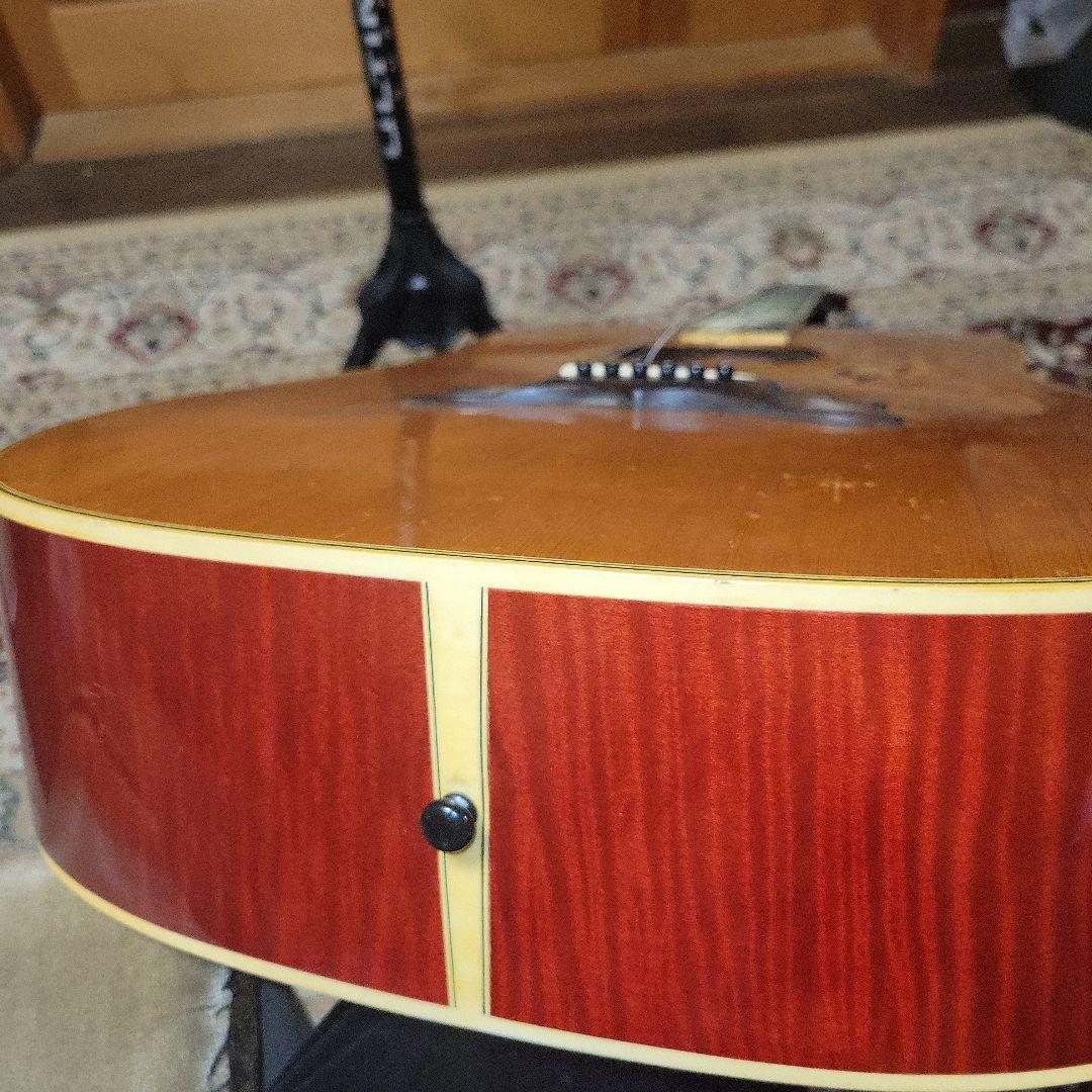 ジャンク】greco 303 DOVE グレコ セミハードケース付き アコギ