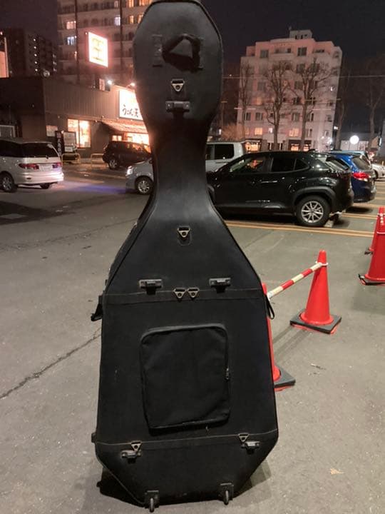 ウッドベース　ハードケース付き