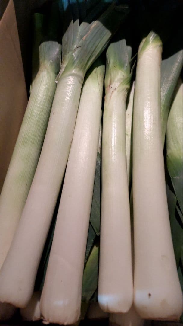 値下げ⭕グルコサミン トリプレットA 90粒入り 3本セット 楽天市場