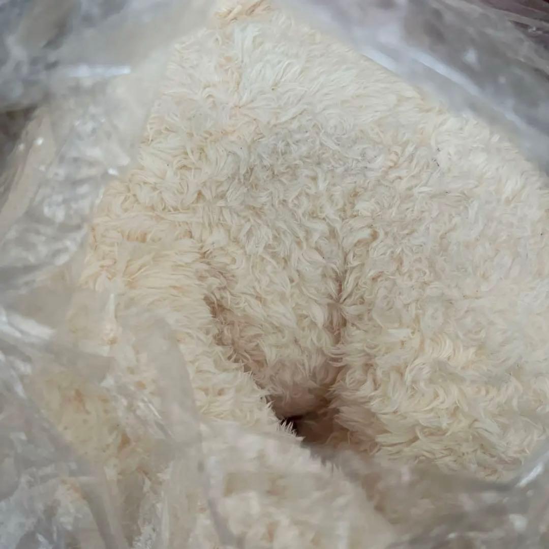 Disney　ミニークチュール　アイラブミッキー　ぬいぐるみ