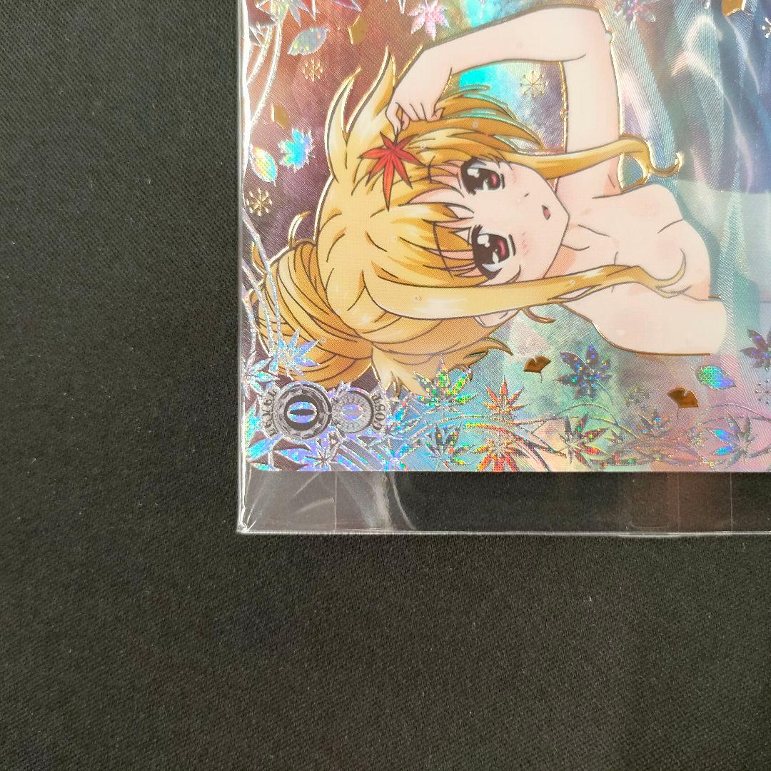 優勝PR　PR+　これからのこと フェイト