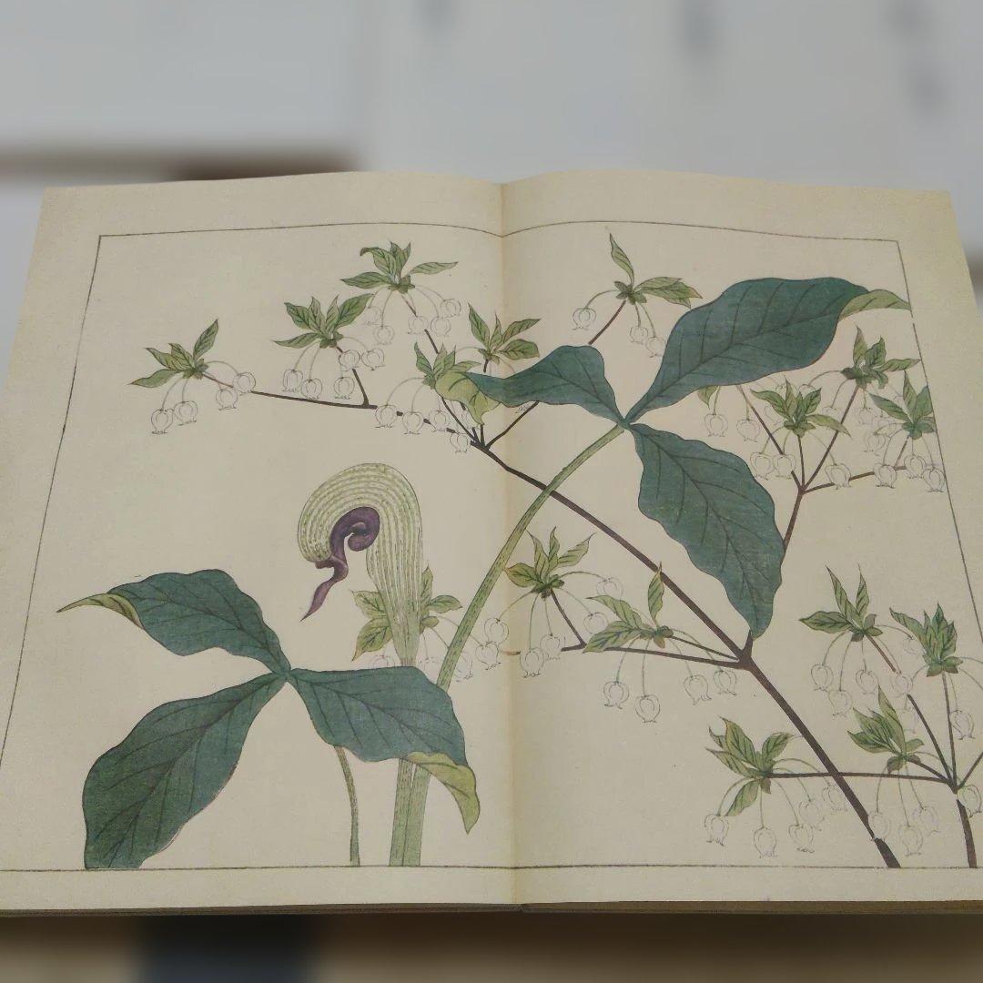 四季の花　酒井抱一　ほか