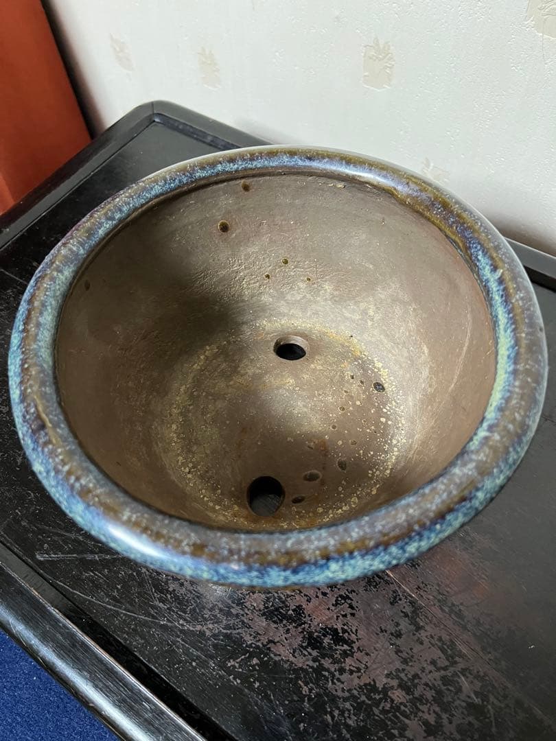 183 盆栽 盆栽鉢 植木鉢 中国鉢 海鼠 ナマコ 盆栽 盆栽鉢 植木鉢 中国