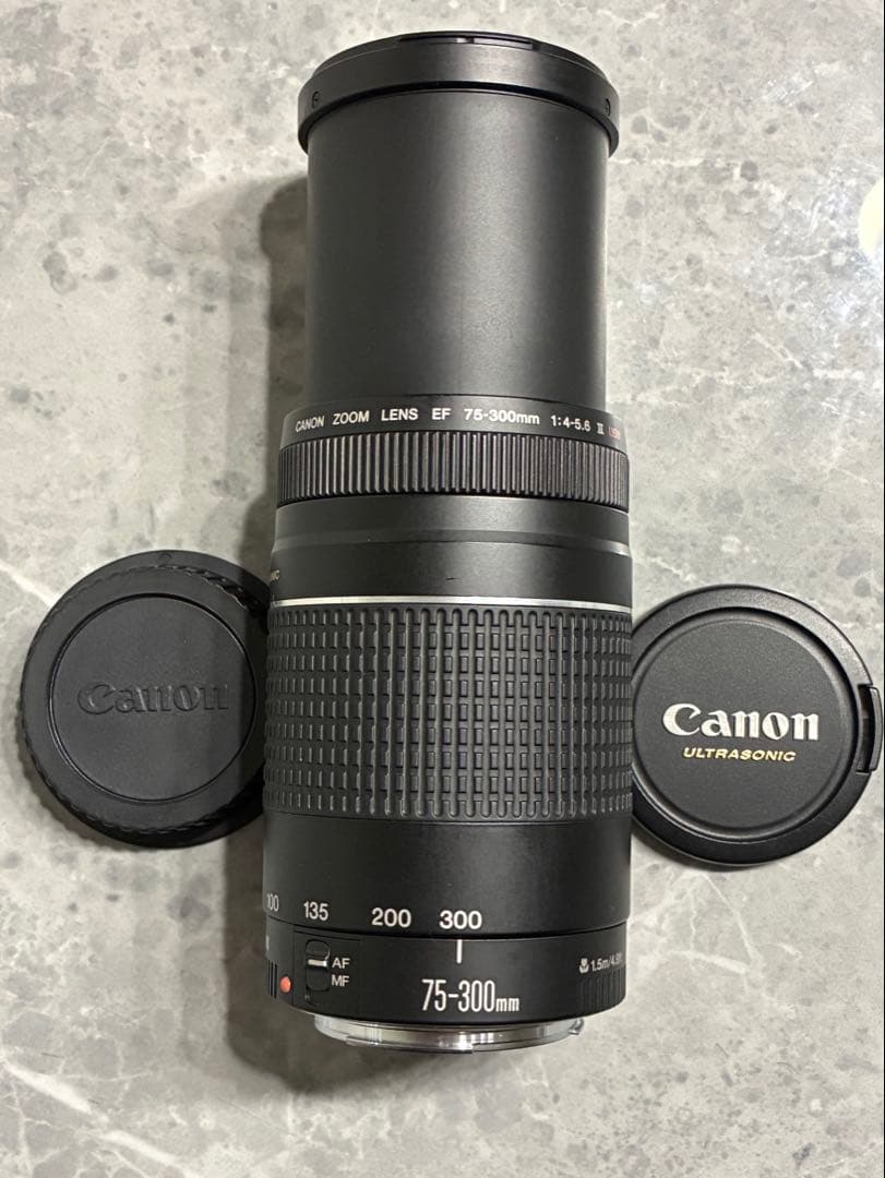 ⭐️美品⭐️Canon EF 75-300mm F/4-5.6 III USM