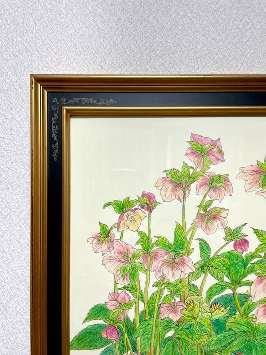 色鉛筆画 クリスマスローズ