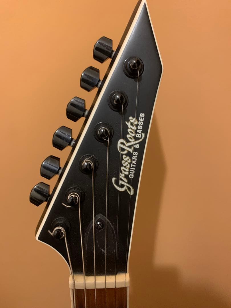 【値下げ】GRASSROOTS G-HORIZON-FX/BKS