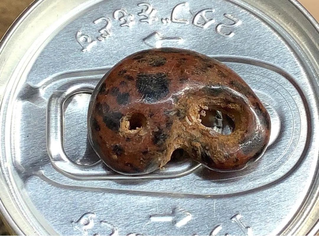 ✳時代鑑定済み鉄鏃と一緒に発掘 ✳古墳期超希少【さる