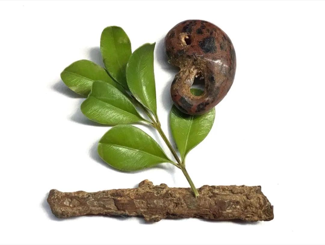 ✳時代鑑定済み鉄鏃と一緒に発掘 ✳古墳期超希少【さる