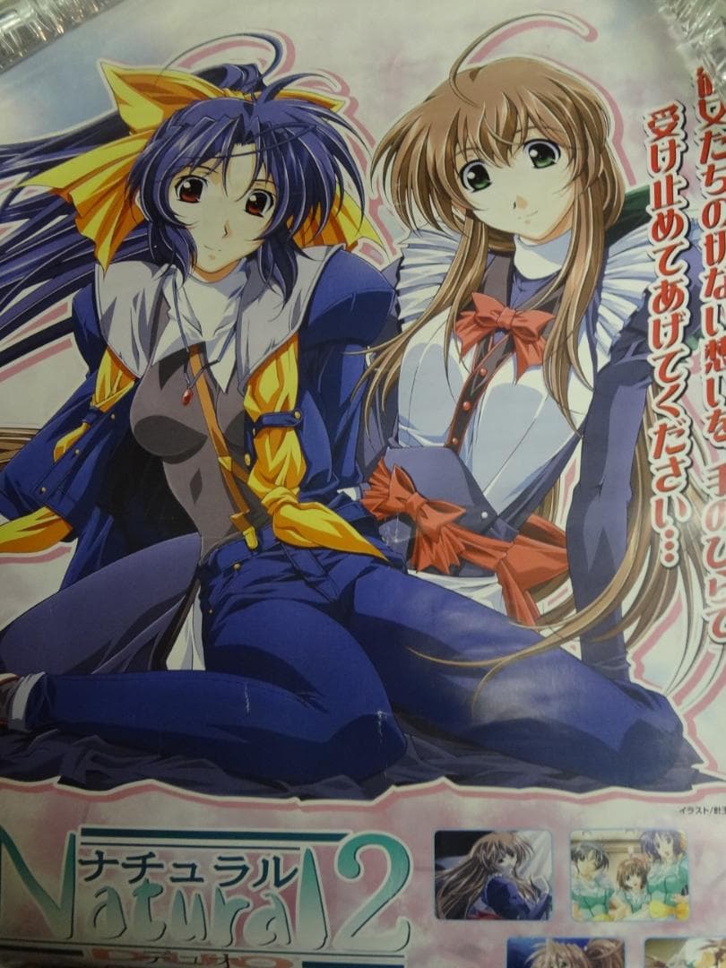 natural 2 ナチュラル2 販促非売品ポスター