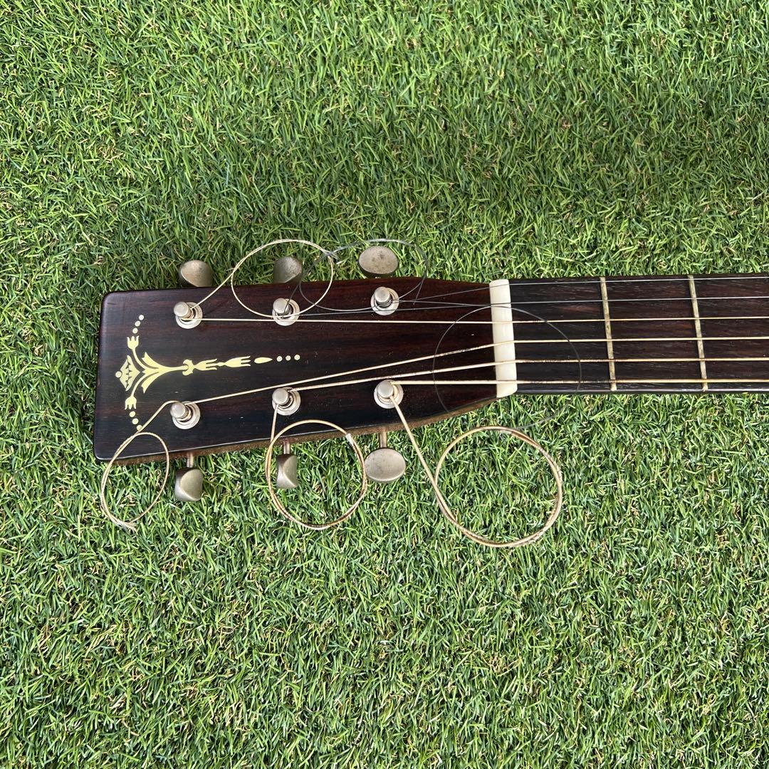 希少TOKAI GAKKI CatsEyes CE-800T 1212680 - メルカリ