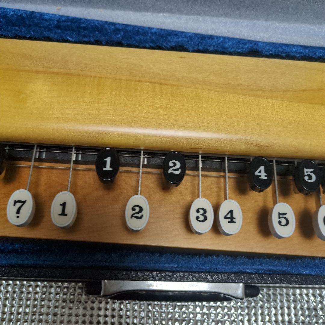 大正琴 13弦 ケース付き - メルカリ