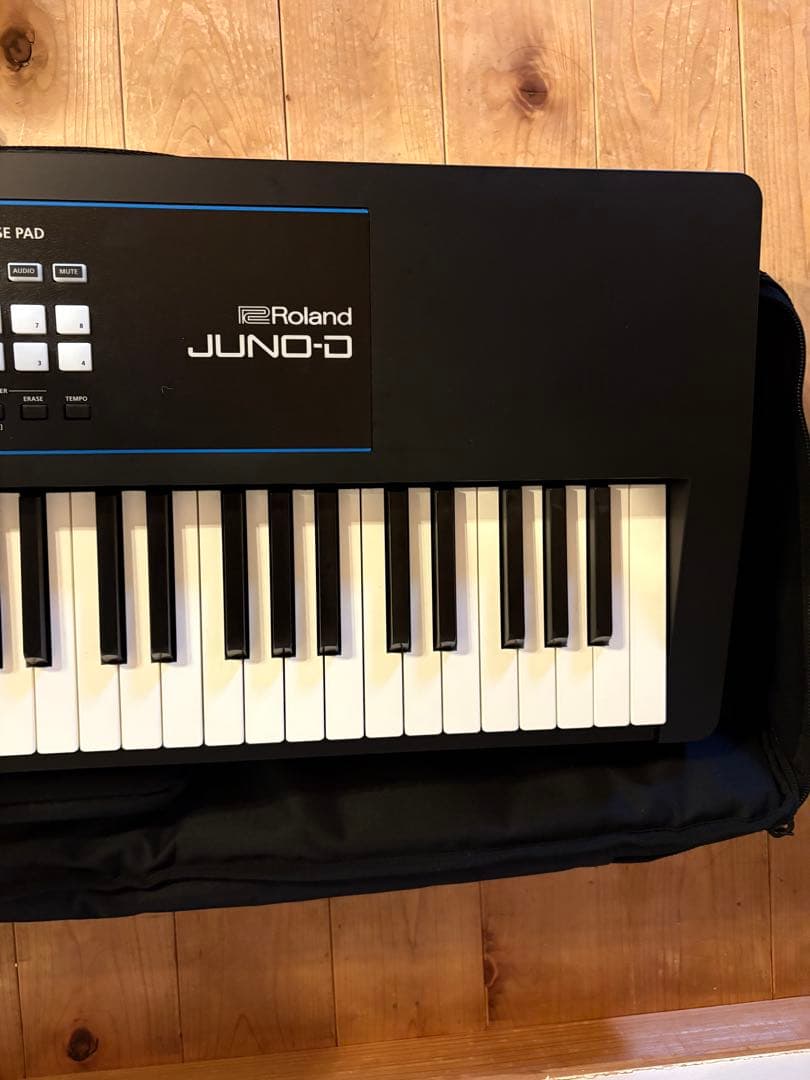 Juno-d8 CANAREケーブル 純正ケース付き - メルカリ