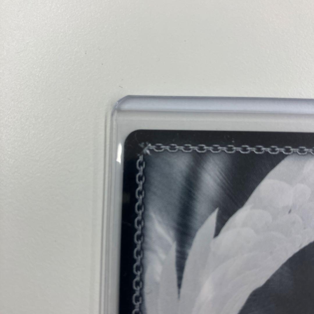 時々ボソッとロシア語でデレる隣のアーリャさん PR+ ヴァイスシュヴァルツ