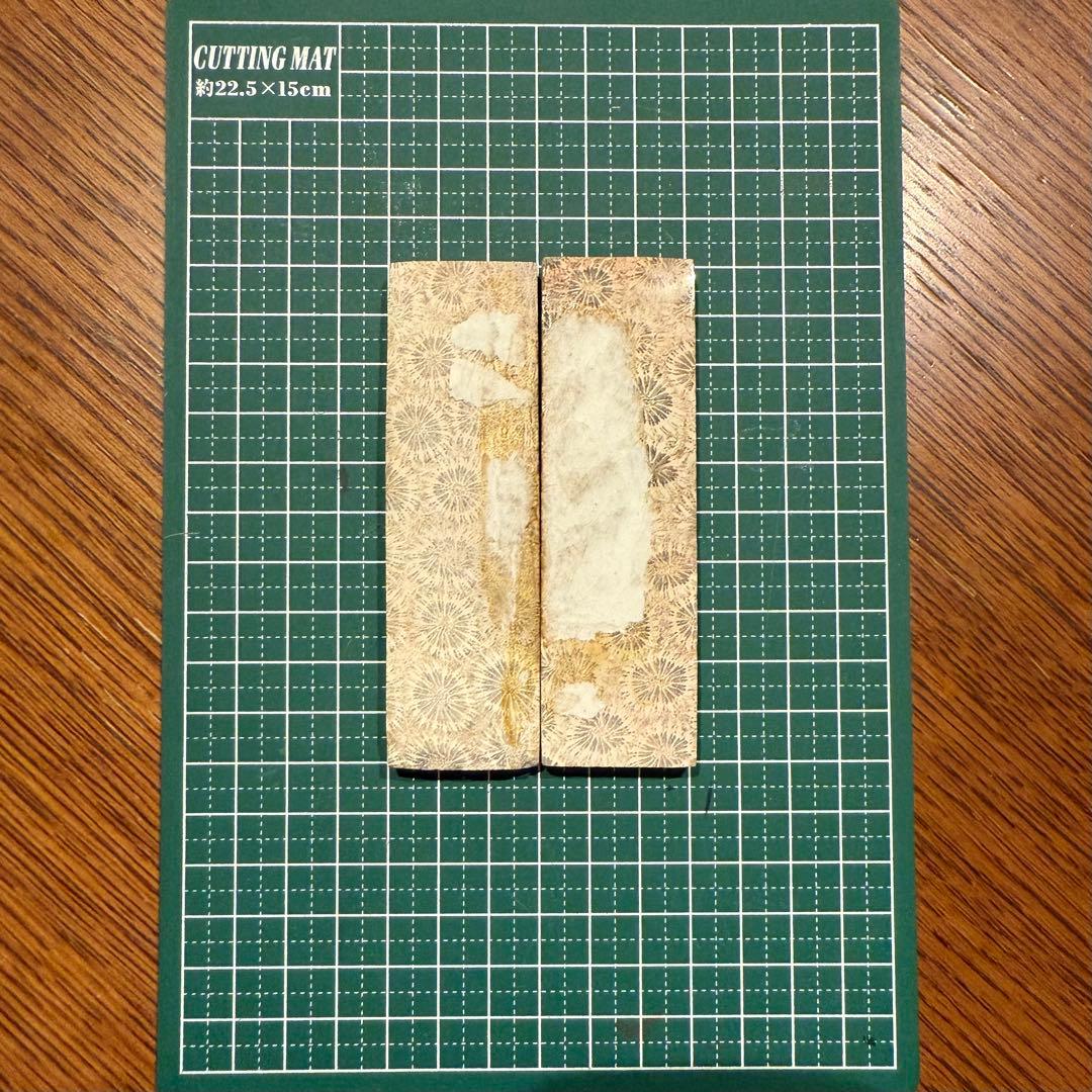 カスタムナイフハンドル材　フォッシルコーラル化石珊瑚