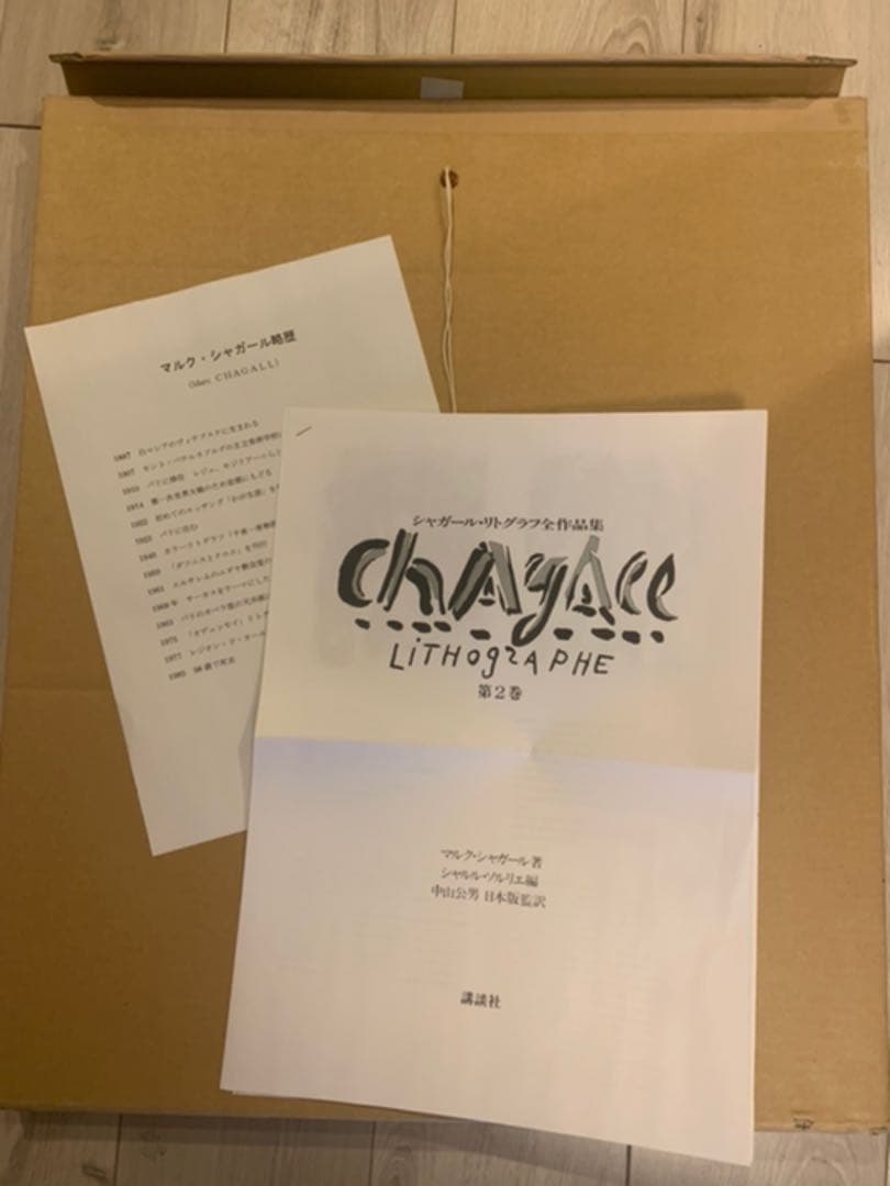 送料込み 美品額縁 マルクシャガール 魔王と王国 677 - メルカリ