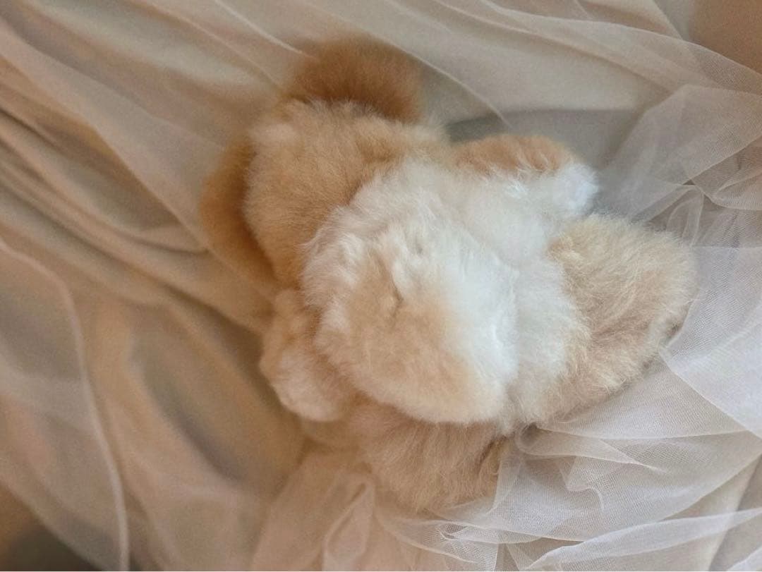 ふわふわアルパカテディベア (ペルー直輸入) ミックスカラー ベージュ