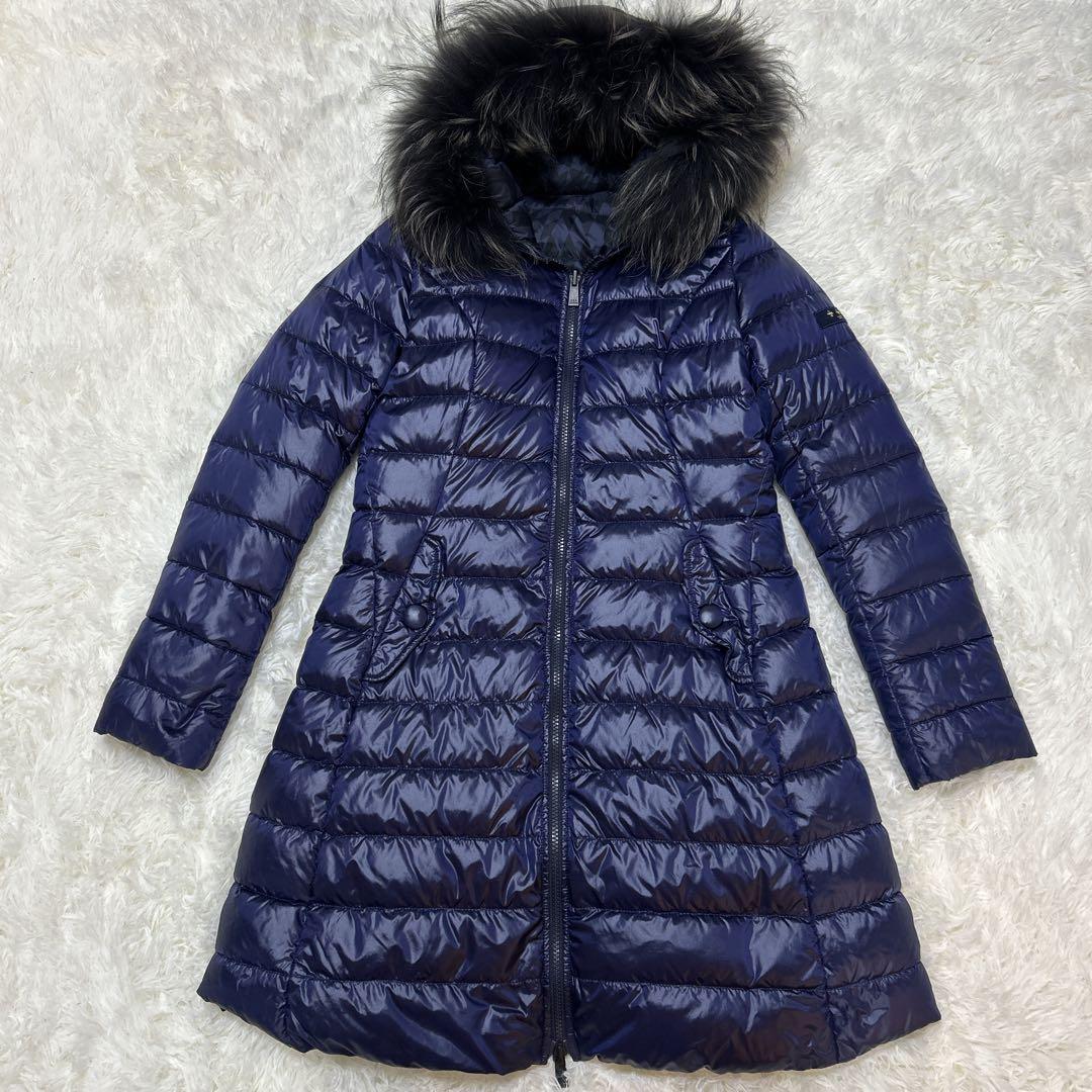 フィリピン ブンブク 世界最大級 完品 ウニ殻 ウニ 標本