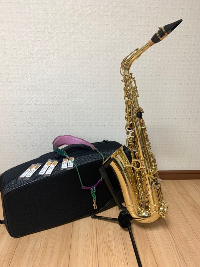 SELMER Axos : アルトサックス セルマー　アクソス