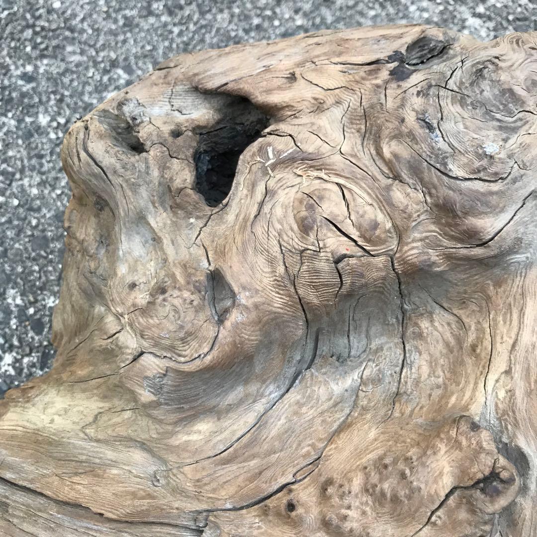 30年前に拾って乾燥させてあった流木 30年前に