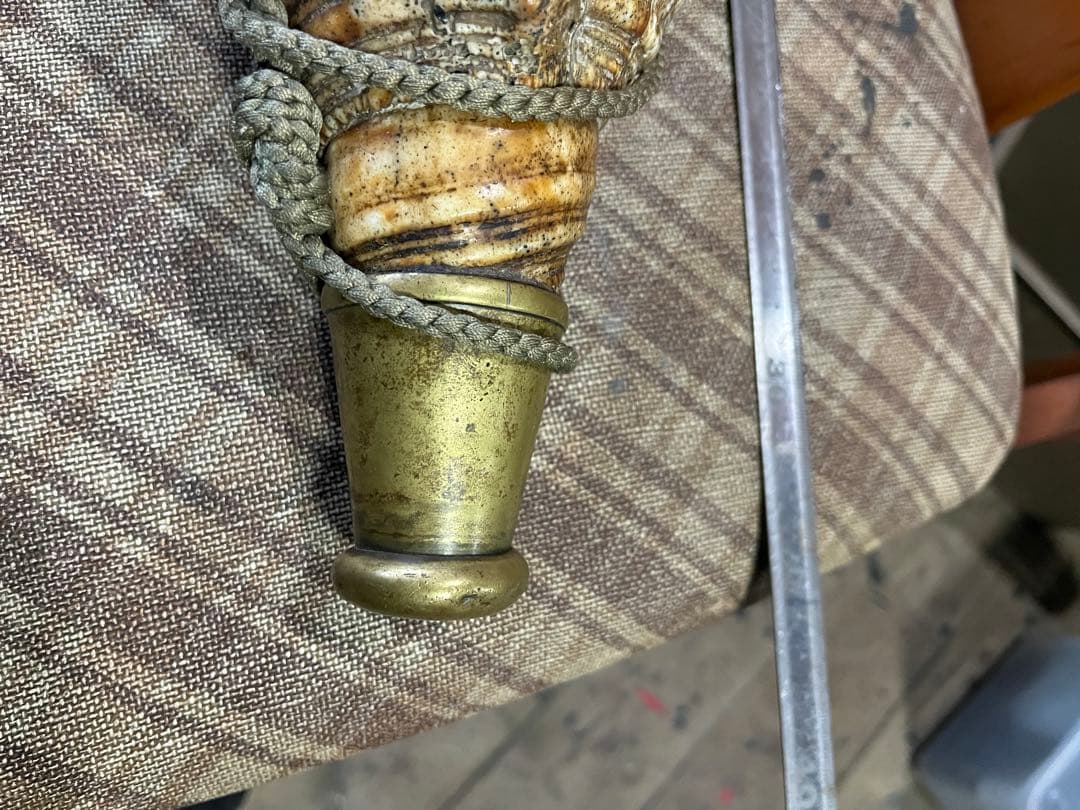 法螺貝　年代物さ　長さ32cm