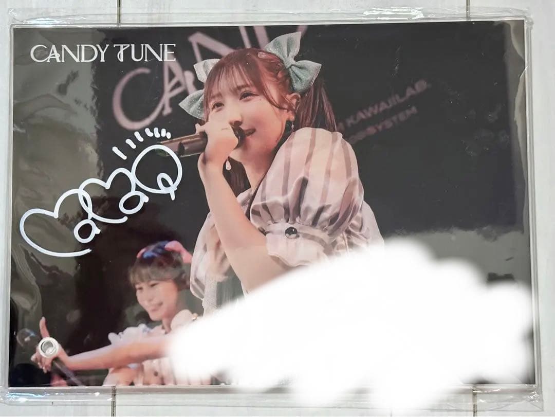 きゃんちゅーcandytune アクリルパネル全員集合サイン入り