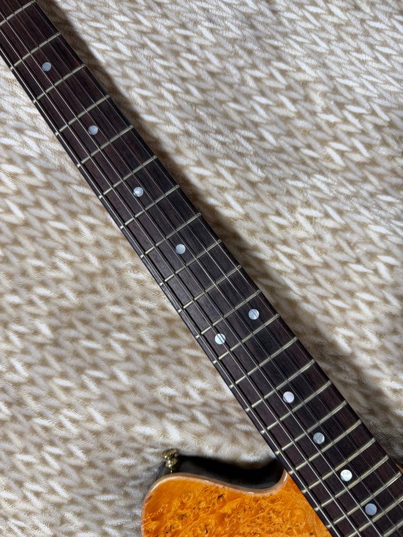 Sugi DH496IR BM-PRM/HM/ALD2P 紅葉