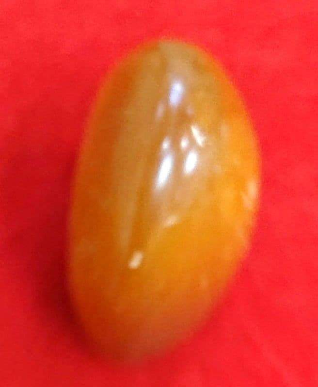 印材 田黄 天然石 ケース付き