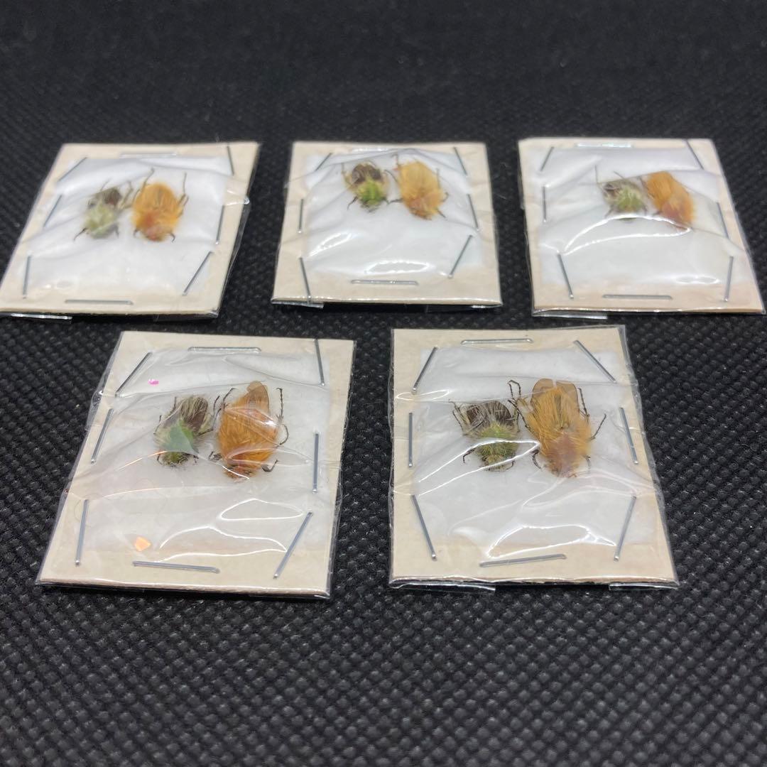 古美術◼️蔵から見事な殴り書きされたツル植物の抹茶茶碗が出てきた