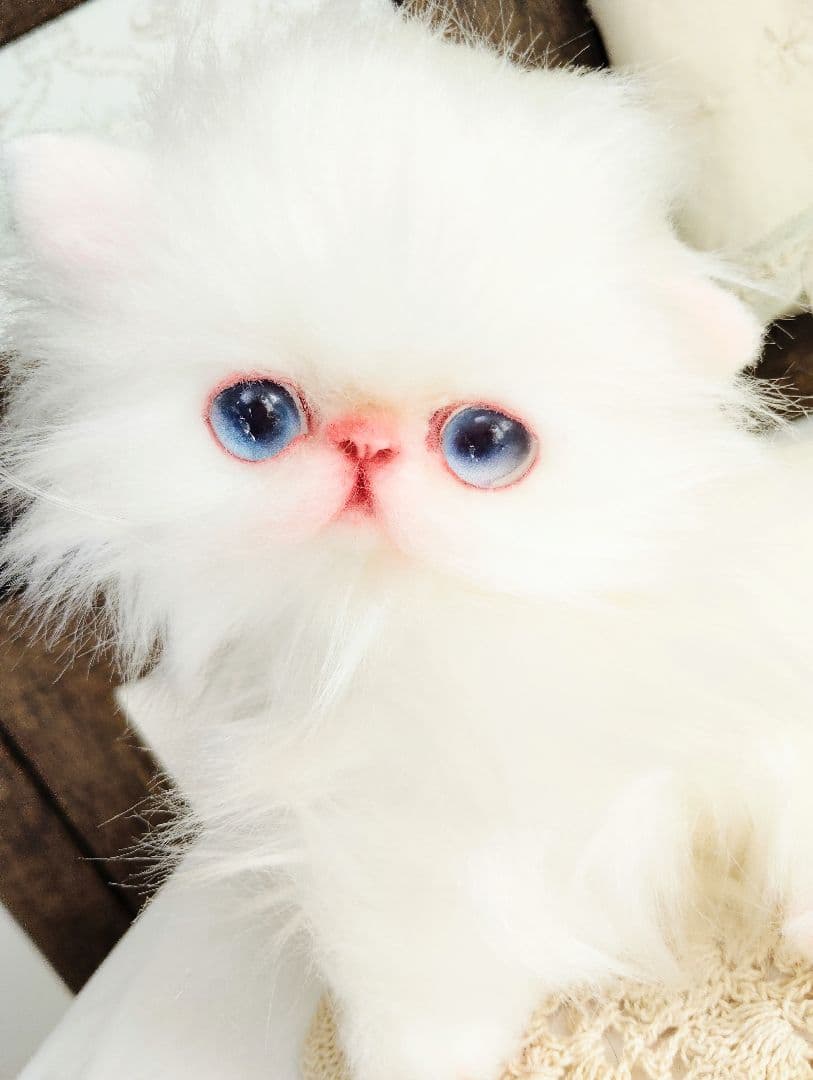 エキゾチックロングヘア♡子猫のミイちゃん♡アートドール♡ぬいぐるみ