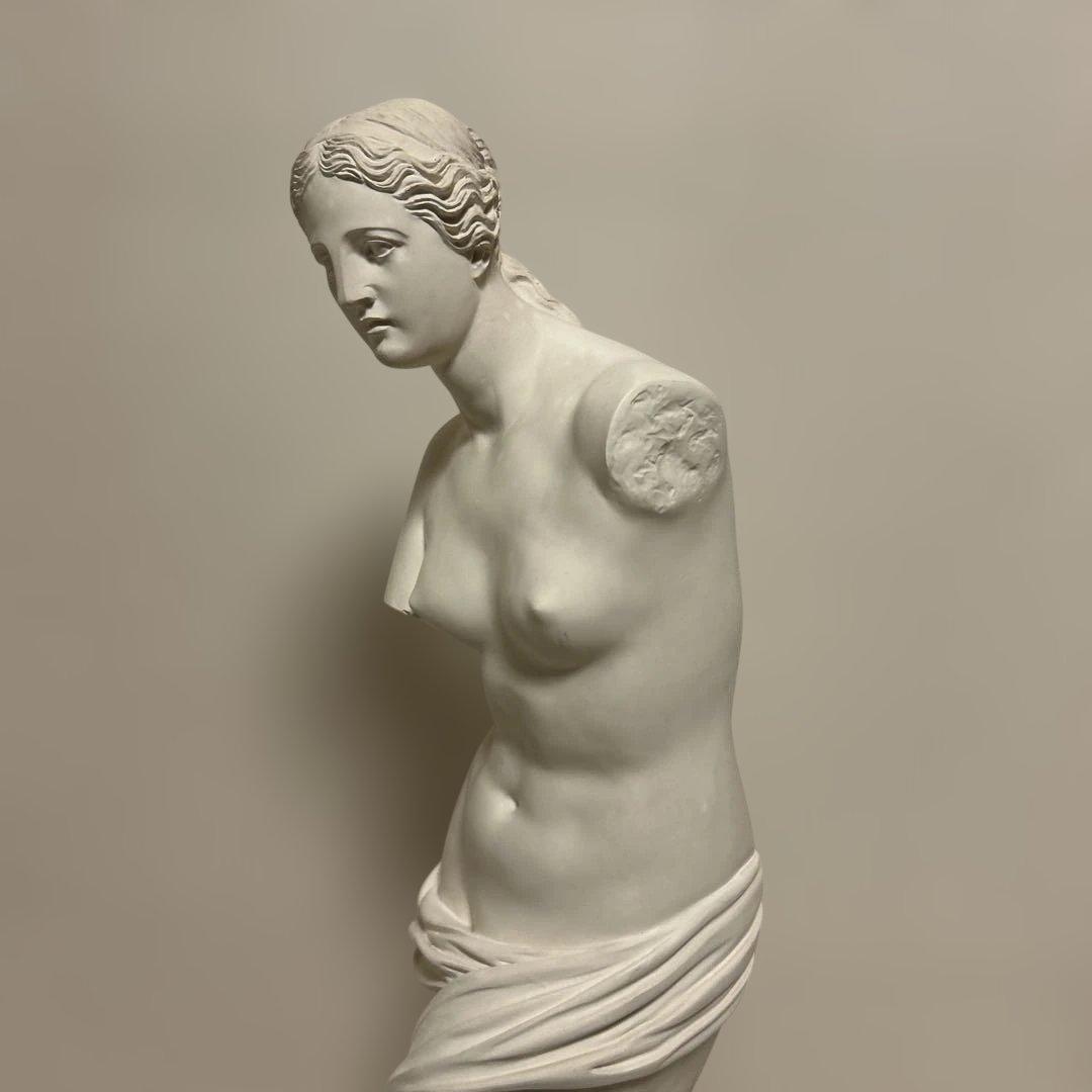 mobb様専用】ミロのヴィーナス 彫刻 デッサン オブジェ 68cm - メルカリ