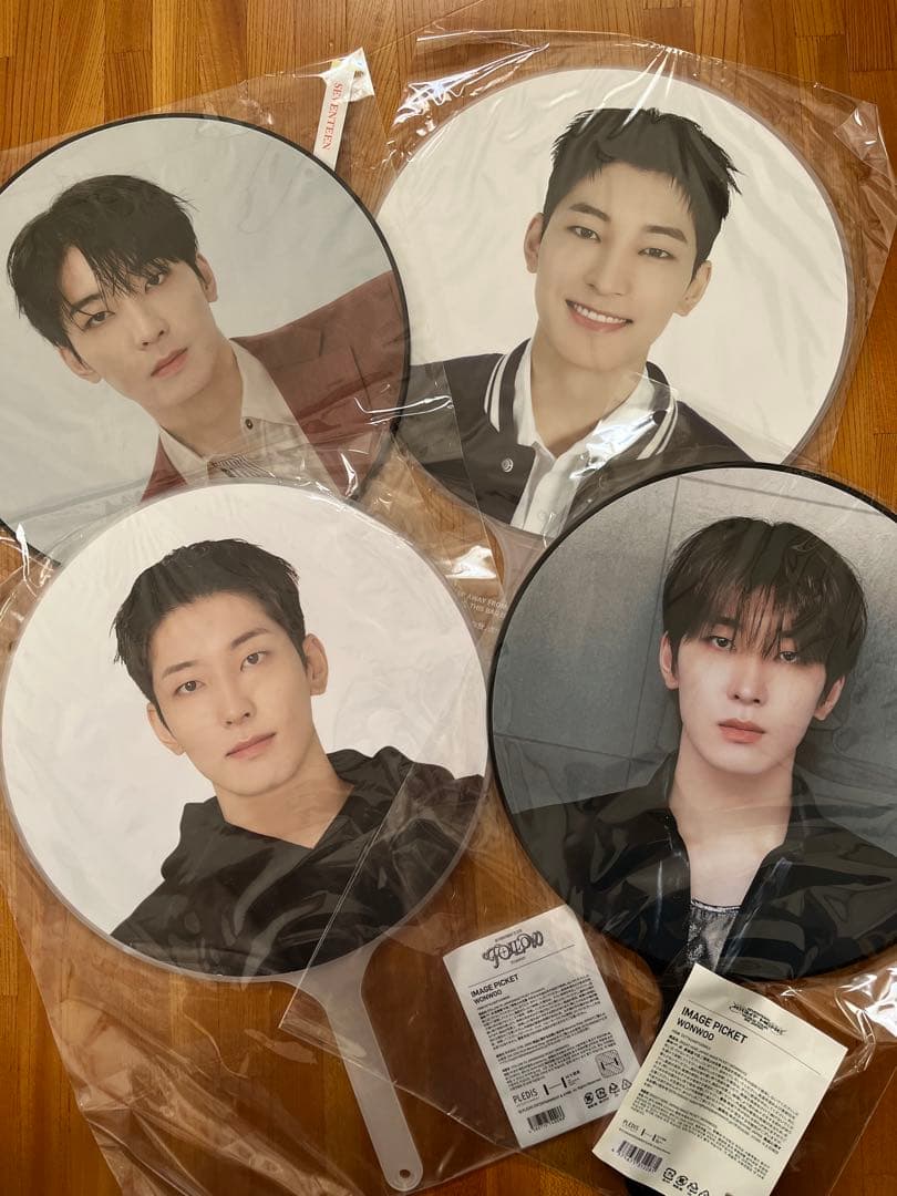 SEVENTEEN BE THE SUN ウォヌ うちわ seventeen うちわセブチwonwoo