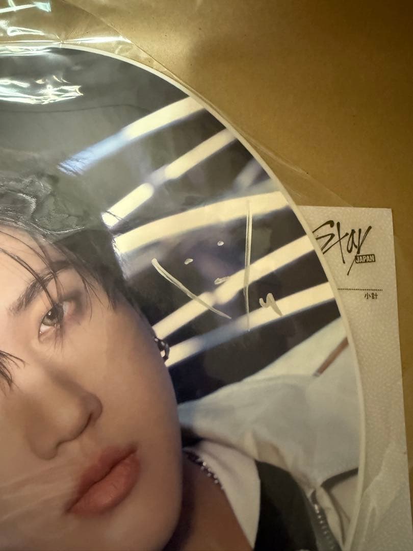 straykids chanbin チャンビン 直筆サイン入りうちわ