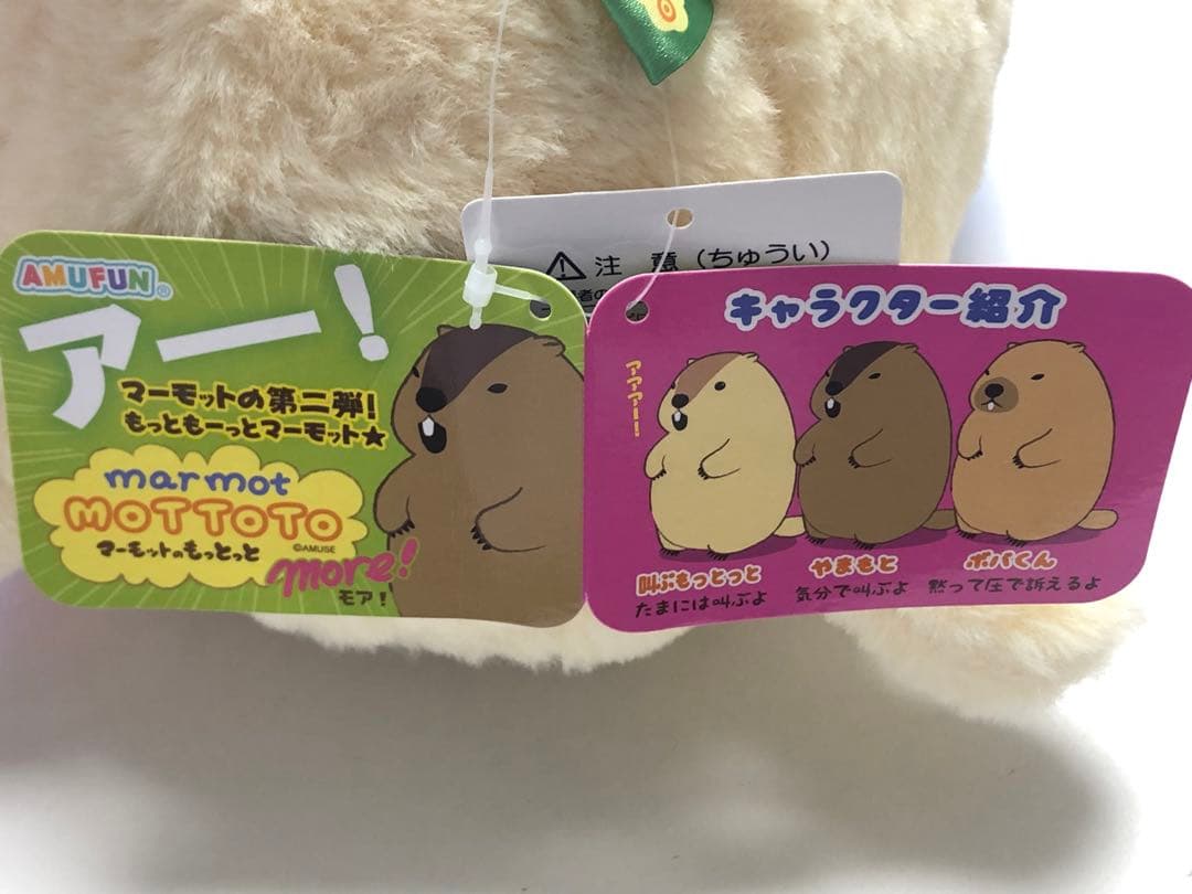 マーモットのもっとっと モア！ 第二弾 叫ぶもっとっと やまもと