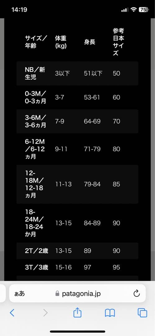 美品！　パタゴニア　リバーシブル　ブルゾン　サイズ3T