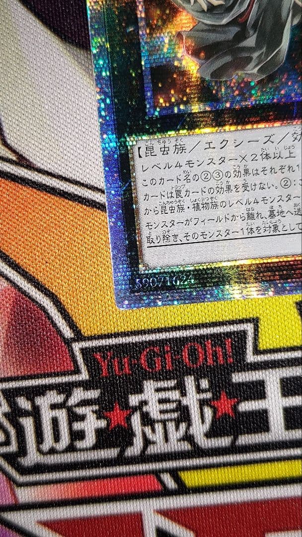 遊戯王 アロメルスの蟲惑魔 アジア 20th