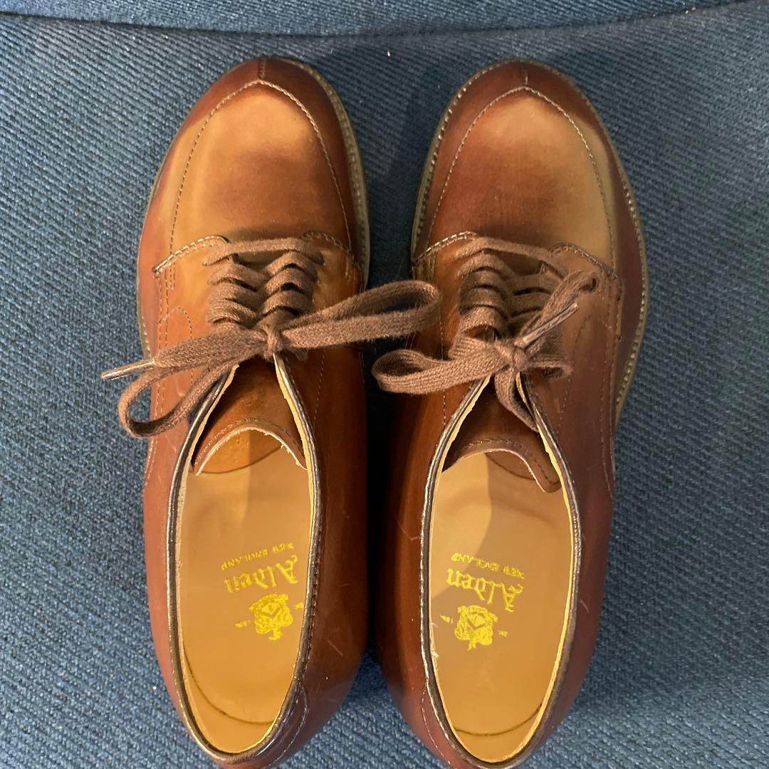 新品　オールデン　Ⅴチップ　カーフ　54441　茶　5ハーフ