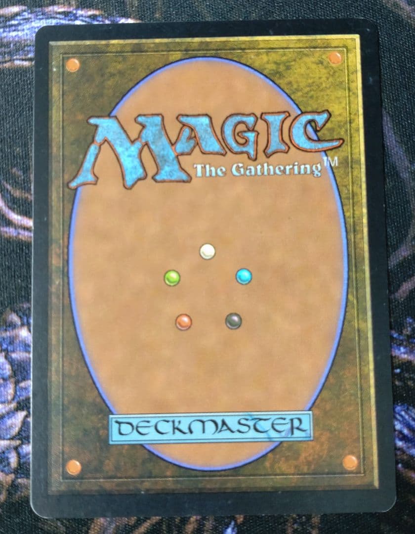 直観 日本語 mtg