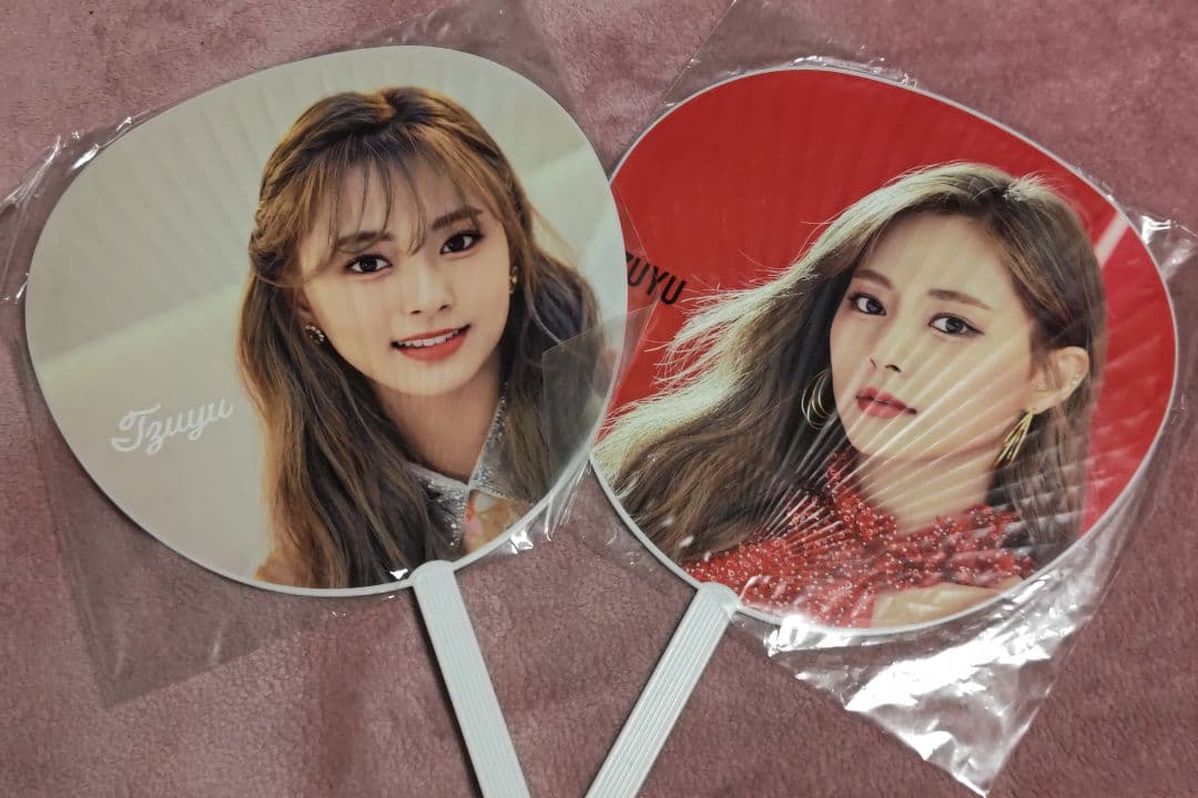 TWICE DOME TOUR 2019 Dream day うちわ